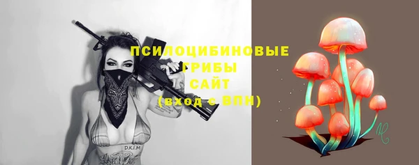 стафф Абинск