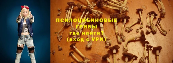 стафф Абинск
